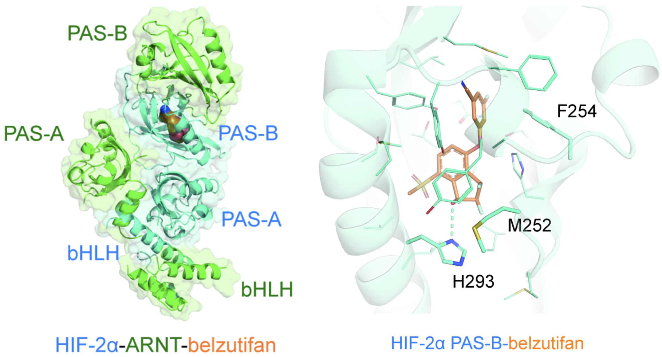 截屏2022-10-23 17.21.07.png
