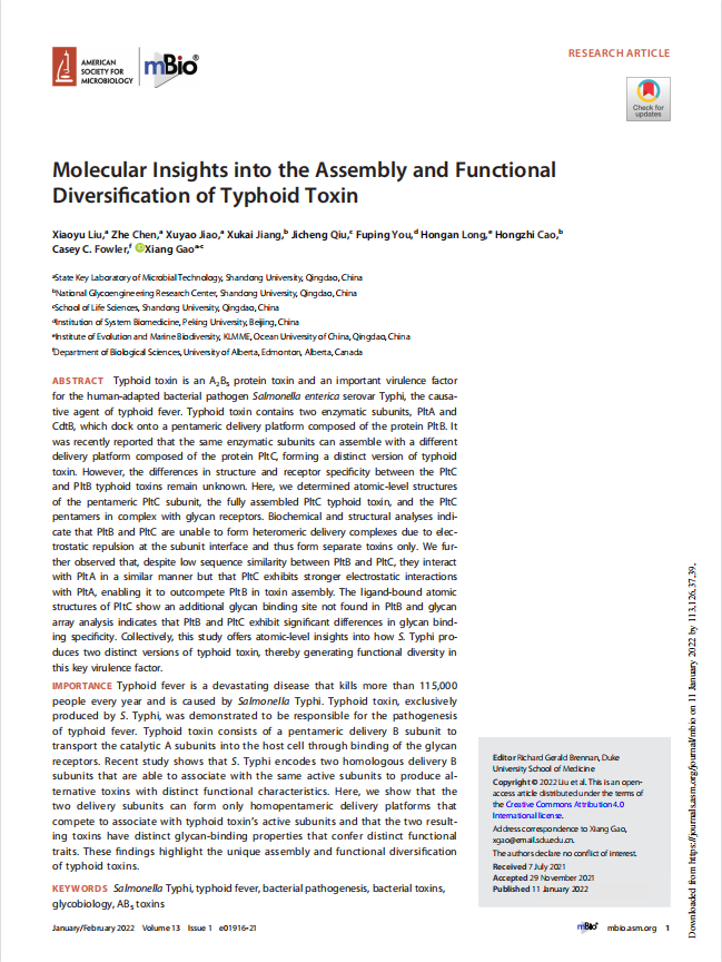 14-2022.1.11-晓宇文章首页-Molecular Insights into the Assembly and Functional-mBio.png