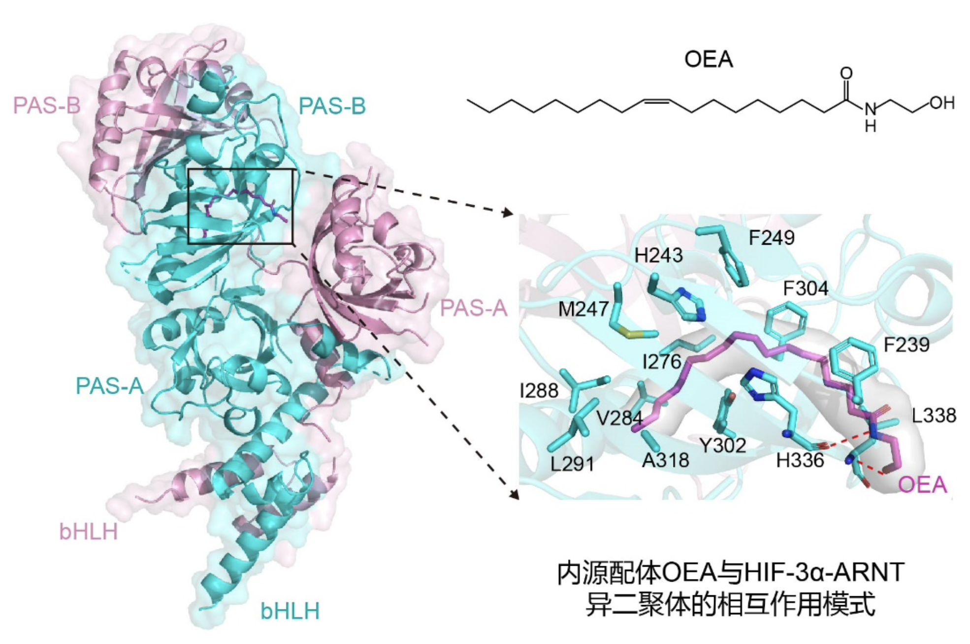 截屏2022-05-10 21.29.26.png