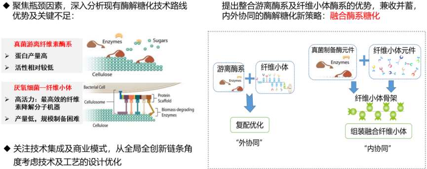 屏幕截图 2025-02-19 175351.png