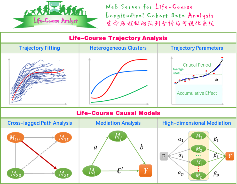 Life-Course Analyst.png