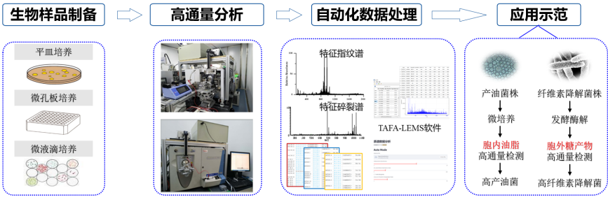 屏幕截图 2025-02-19 164250.png