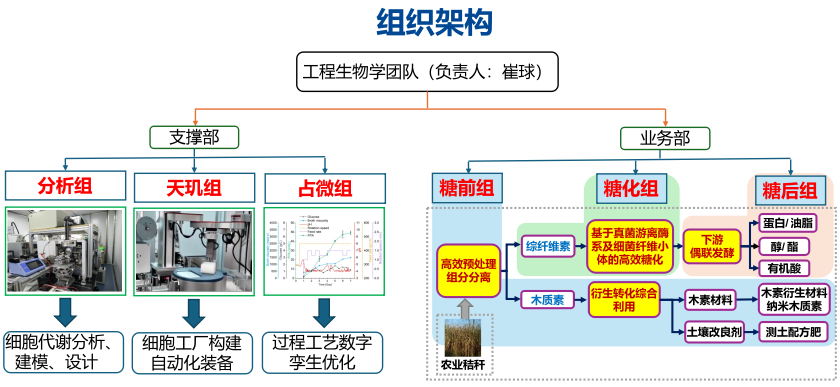 屏幕截图 2025-02-19 092714.png